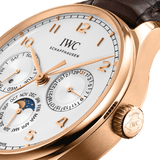 IWC Schaffhausen Portugieser Perpetual Calendar 42.4mm Automatic IW344202