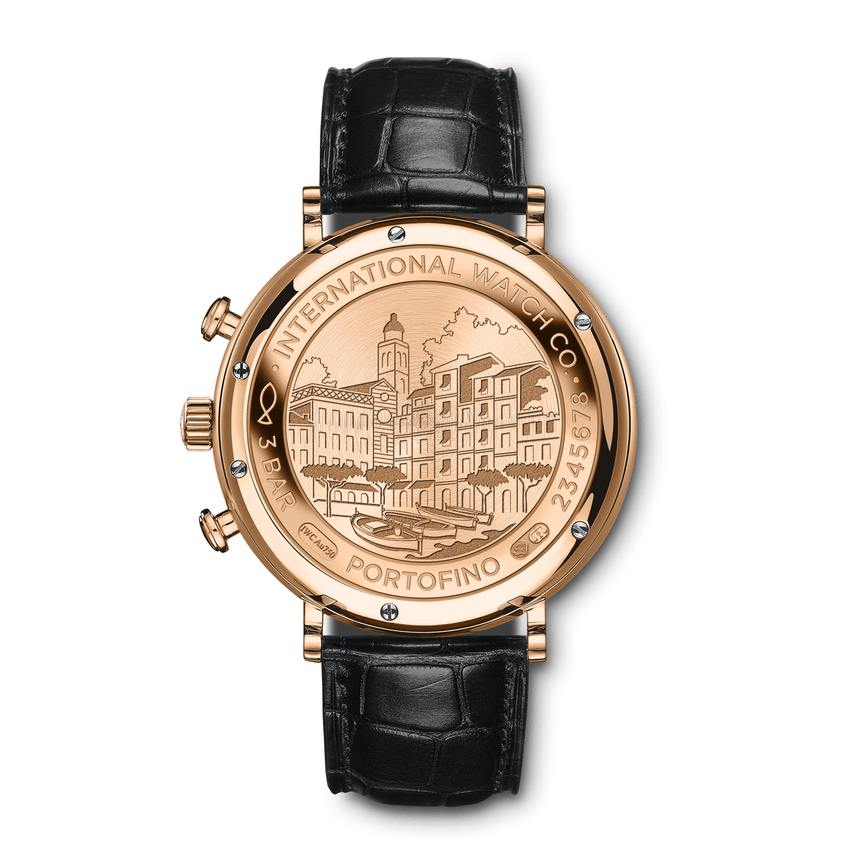 IWC Schaffhausen Portofino Chronograph 42mm Automatic IW391035
