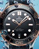 Omega Seamaster Diver 300M 42mm Automatic 210.22.42.20.01.002
