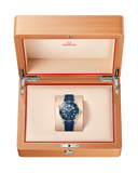 Omega Seamaster Diver 300M 42mm Automatic 210.22.42.20.03.001