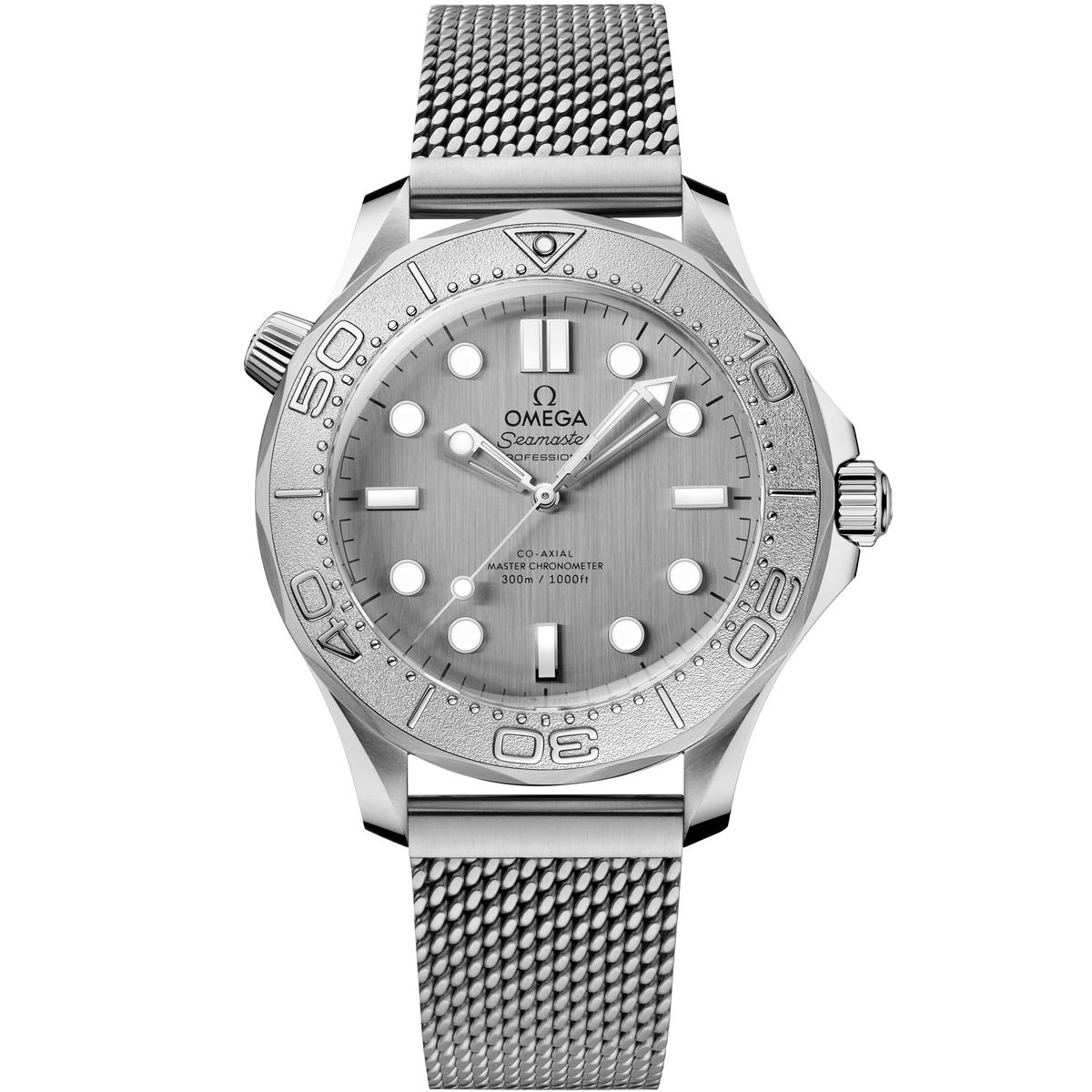 Omega Seamaster Diver 300M 42mm Automatic 210.30.42.20.06.002