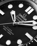 Omega Seamaster Diver 300M 42mm Automatic 210.32.42.20.01.003