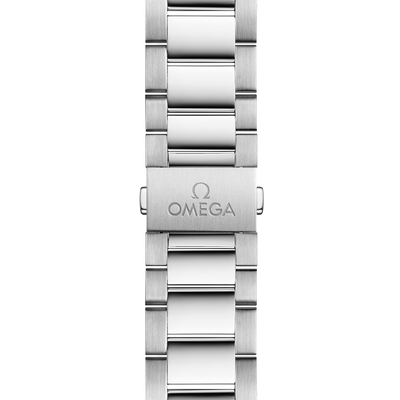 Omega Seamaster Aqua Terra 150M 41mm Automatic 220.10.41.21.02.001