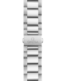 Omega Seamaster Aqua Terra 150M 41mm Automatic 220.10.41.21.03.004