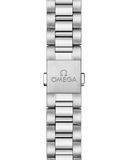 Omega Seamaster Aqua Terra 150M 41mm Automatic 220.10.41.21.03.006