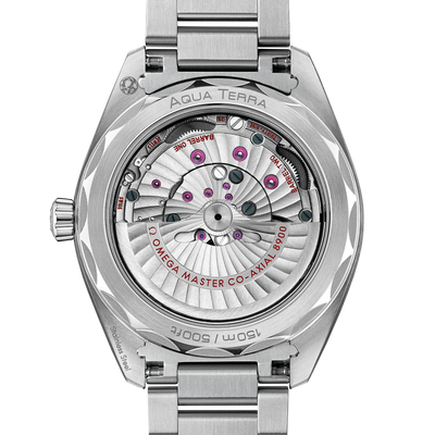 Omega Seamaster Aqua Terra 150M 41mm Automatic 220.10.41.21.10.001