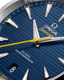Omega Seamaster Aqua Terra 150m 41mm Automatic 220.12.41.21.03.009