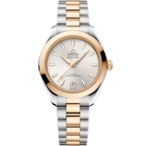 Omega Seamaster Aqua Terra 150m 30mm Automatic 220.20.30.20.02.001