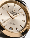 Omega Seamaster Aqua Terra 150m 30mm Automatic 220.20.30.20.02.001