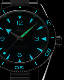 Omega Seamaster 300 41mm Automatic 234.30.41.21.03.001