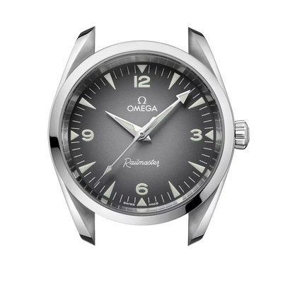 Omega Seamaster Railmaster 38mm Automatic 235.10.38.20.06.001