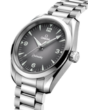 Omega Seamaster Railmaster 38mm Automatic 235.10.38.20.06.001