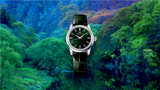 Grand Seiko Elegance 37.3mm Manual SBGW285G
