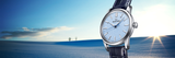 Grand Seiko Elegance Skyflake 34mm Quartz SBGX353G