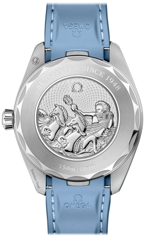 22012432203002-caseback
