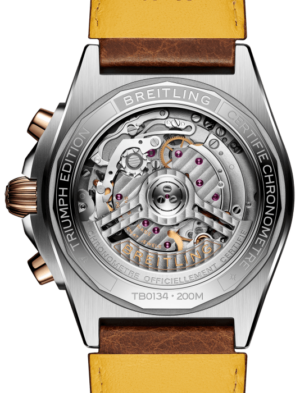 tb0134101m1x1-chronomat-b01-42-triumph-back