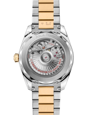 omega-seamaster-aqua-terra-150m-co-axial-master-chronometer-38-mm-22020382010002-portrait-1-143735