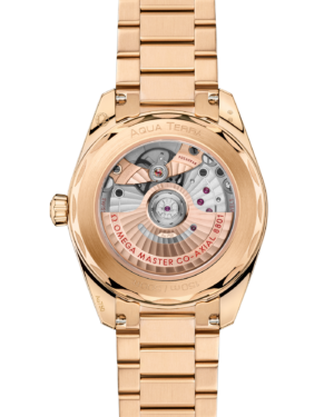 omega-seamaster-aqua-terra-150m-co-axial-master-chronometer-38-mm-22050382003001-portrait-1-d50b2a