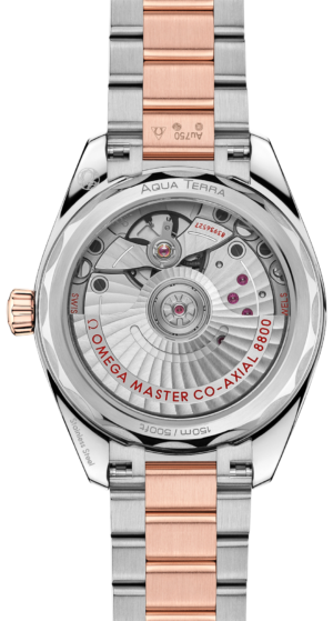 omega-seamaster-aqua-terra-shades-co-axial-master-chronometer-34-mm-22020342010001-portrait-1-8ae4f7
