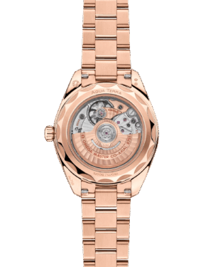 imgi_48_omega-seamaster-aqua-terra-150m-co-axial-master-chronometer-30-mm-22050302009001-portrait-1-710ce6