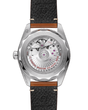 imgi_166_omega-seamaster-railmaster-co-axial-master-chronometer-small-seconds-38-mm-23512382013001-portrait-1-470558