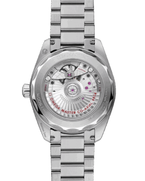 imgi_183_omega-seamaster-railmaster-co-axial-master-chronometer-small-seconds-38-mm-23510382013001-portrait-1-d1b306