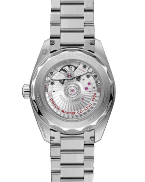 imgi_195_omega-seamaster-railmaster-co-axial-master-chronometer-38-mm-23510382006001-portrait-1-e1e897