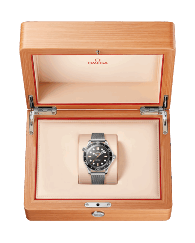 Omega Seamaster Diver 300m Black & Orange 42mm 210.30.42.20.01.018