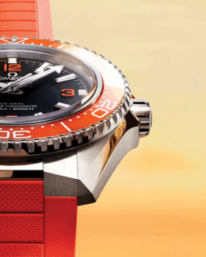 imgi_117_omega-seamaster-planet-ocean-600m-co-axial-master-chronometer-42-mm-21732422101004-portrait-5-b5bd1b