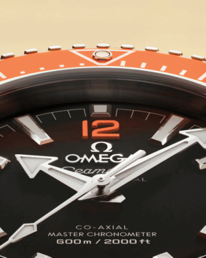 imgi_118_omega-seamaster-planet-ocean-600m-co-axial-master-chronometer-42-mm-21730422101003-portrait-6-100986