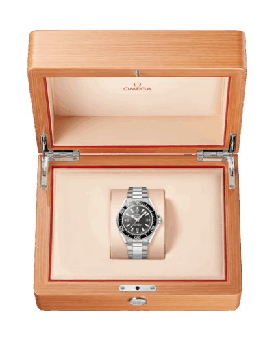 Omega Seamaster Planet Ocean 600m Black 42mm 217.30.42.21.01.001